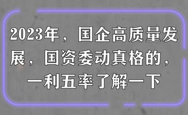 國(guó)務(wù)院國(guó)資委權(quán)威解讀中央企業(yè)“一利五率”經(jīng)營(yíng)指標(biāo)體系